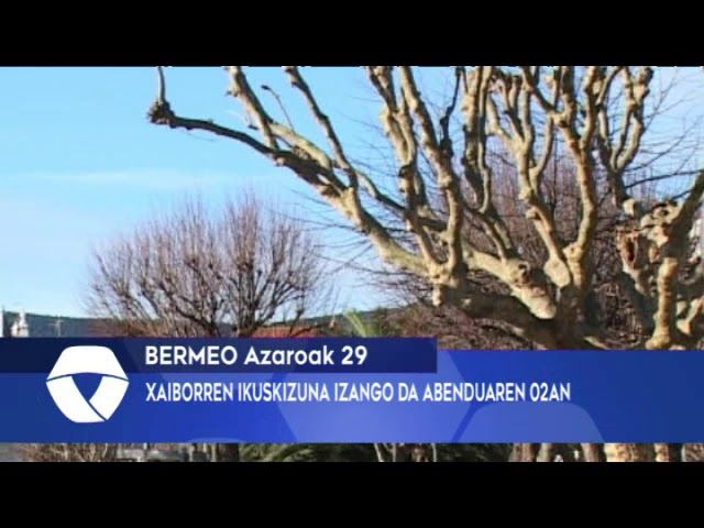 Xaiborren ikuskizuna izango da abenduaren 2an Lameran