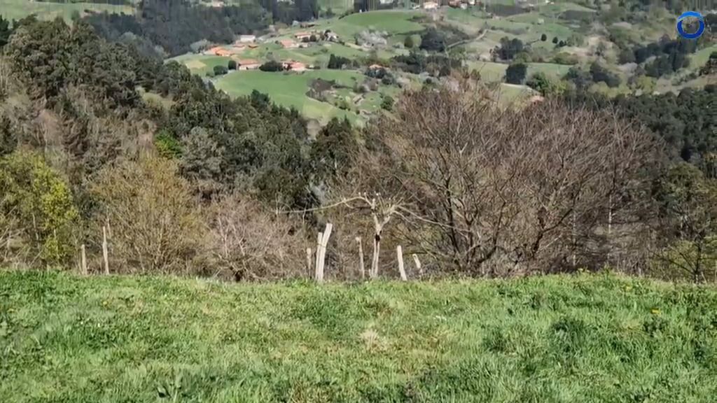 EAJ-PNV bermeok gobernu taldearen gardentasun falta salatu dau Sollube gane parke eolikoari dagokionez