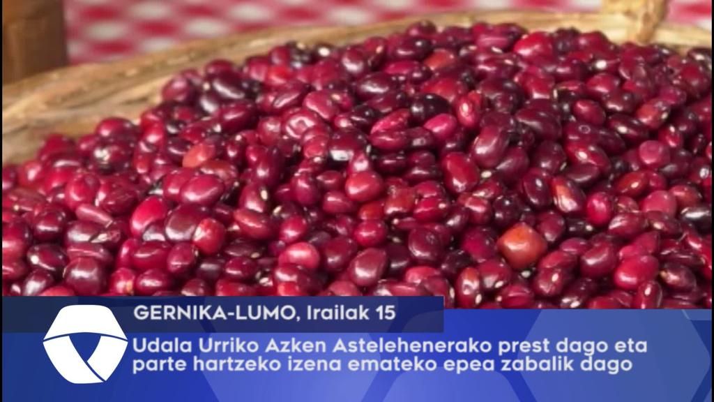 Udala Urriko Azken Astelehenerako prest dago eta izena emateko epea zabalik dago