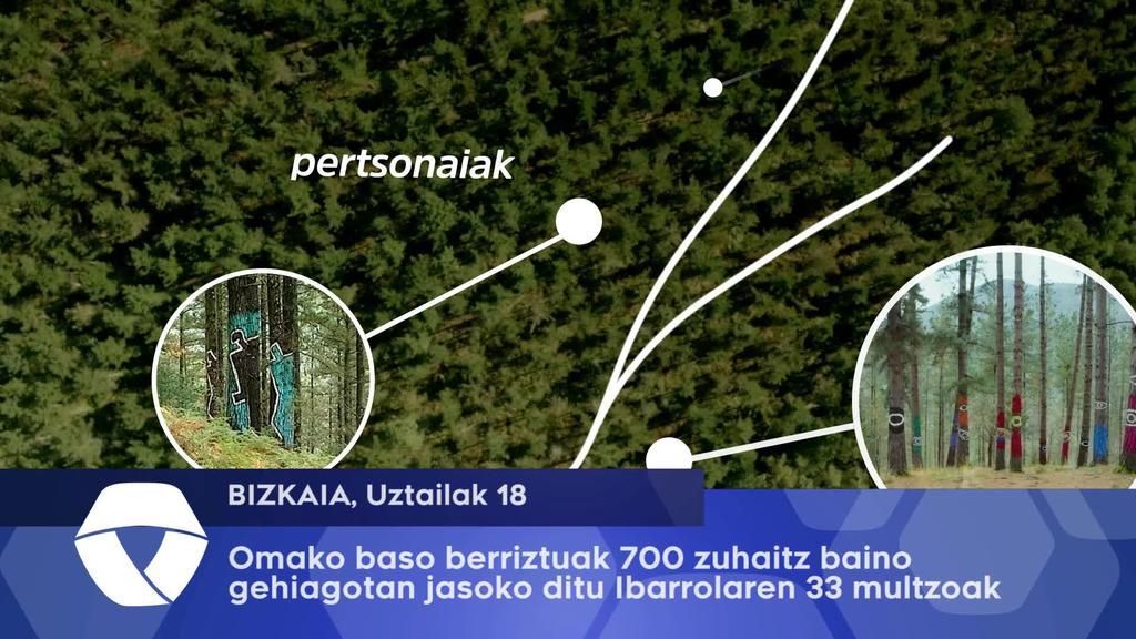 Omako basoa berriztuak 700 zuhaitzetan jasoko ditu Ibarrolaren 33 multzoak