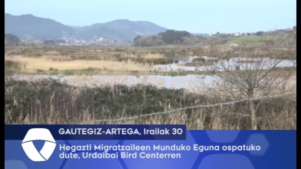Hegazti Migratzaileen Munduko eguna ospatuko dute, Urdaibai Bird Centerren