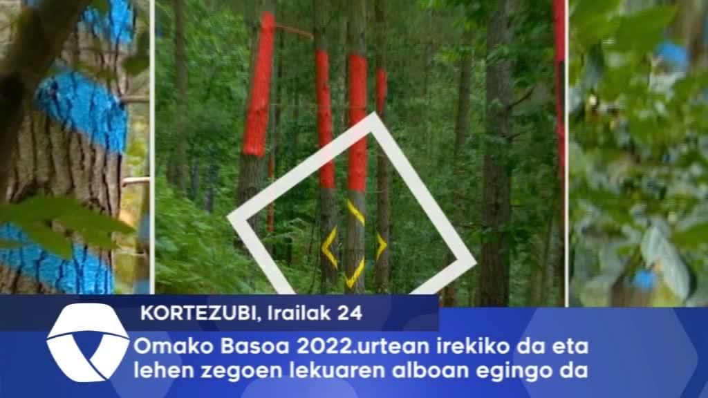 Omako Basoa 2022.urtean irekiko da eta lehen zegoen lekuaaren alboan egingo da