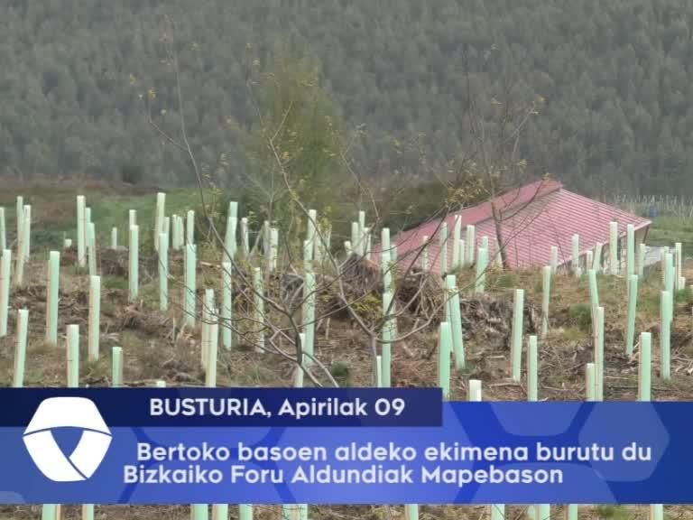 Bertoko basoaren aldeko ekimena burutu du Aldundiak Mapebason