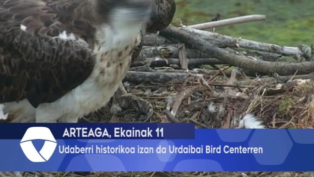 Udaberri Historikoa izan da Urdaibai Bird Centerren