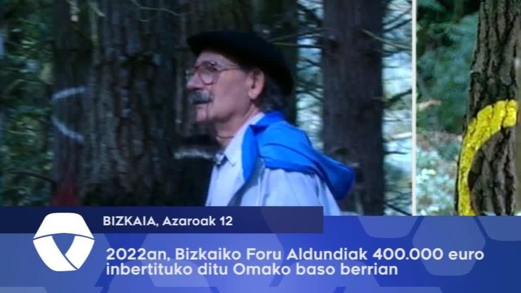 Bizkaiko Foru Aldundiak 400.000 euro inbertituko ditu Omako baso berrian