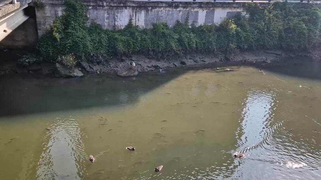 Ekainaren 3an hastapeneko arraun saioa antolatu dau Berbalagunek
