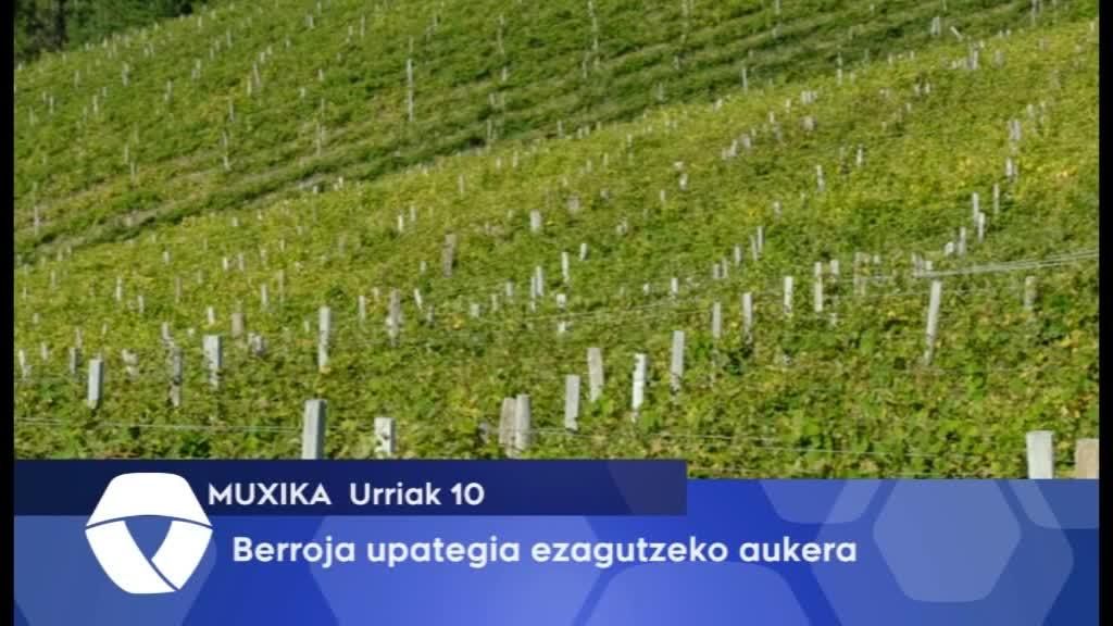 Berroja upategia ezagutzeko aukera izango da urriaren 22an