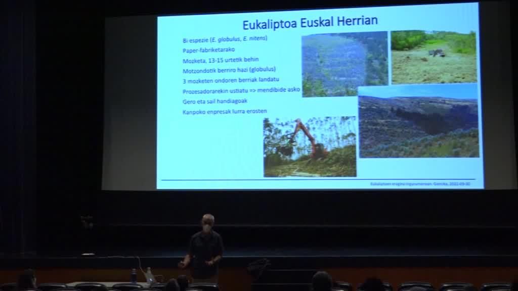 Eukaliptoaren eragina ingurumenean