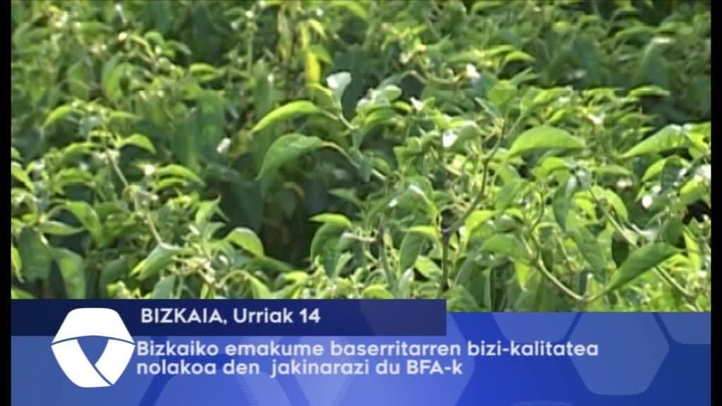 Bizkaiako emakume baserritarren bizi-kalitatea nolakoa den jakinarazi du BFA-k