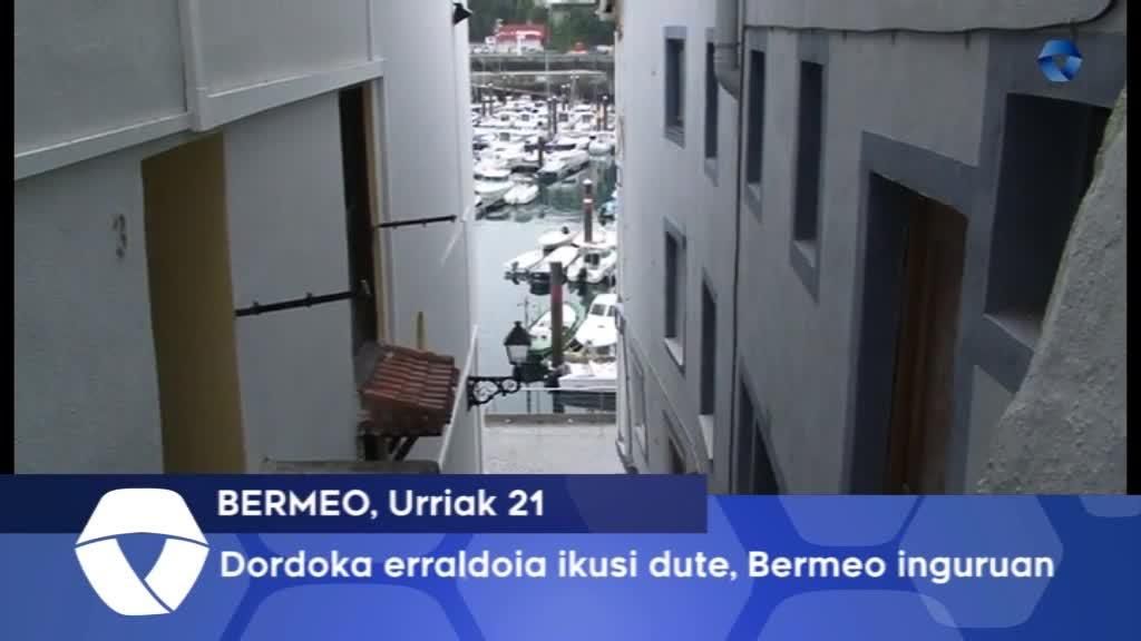 Dordoka erraldoia, Bermeon