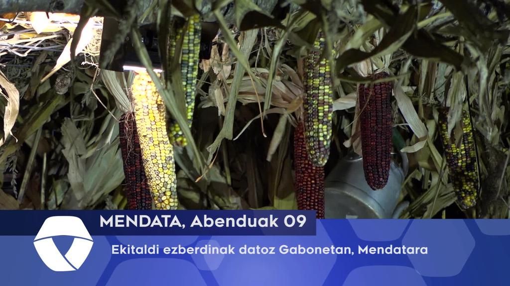 Ekitaldi ezberdinak datoz Gabonetan, Mendatara
