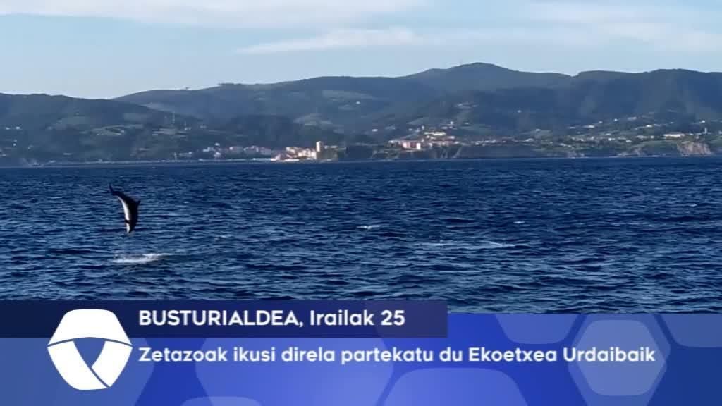 Zetazeoak egon direla partekatu du Ekoetxea Urdaibaik