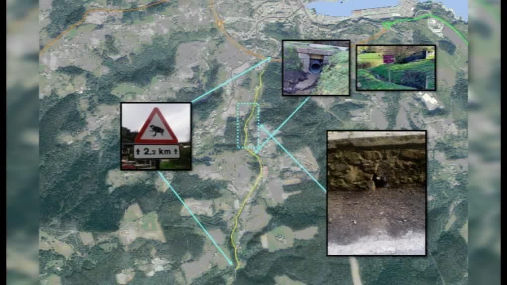 Biodibertsitatea babesteko eta herritarrak kontzientziatzeko ohartarazpen kartelak jarri eta apoentzeko pasabideak egokitu dira Artikan