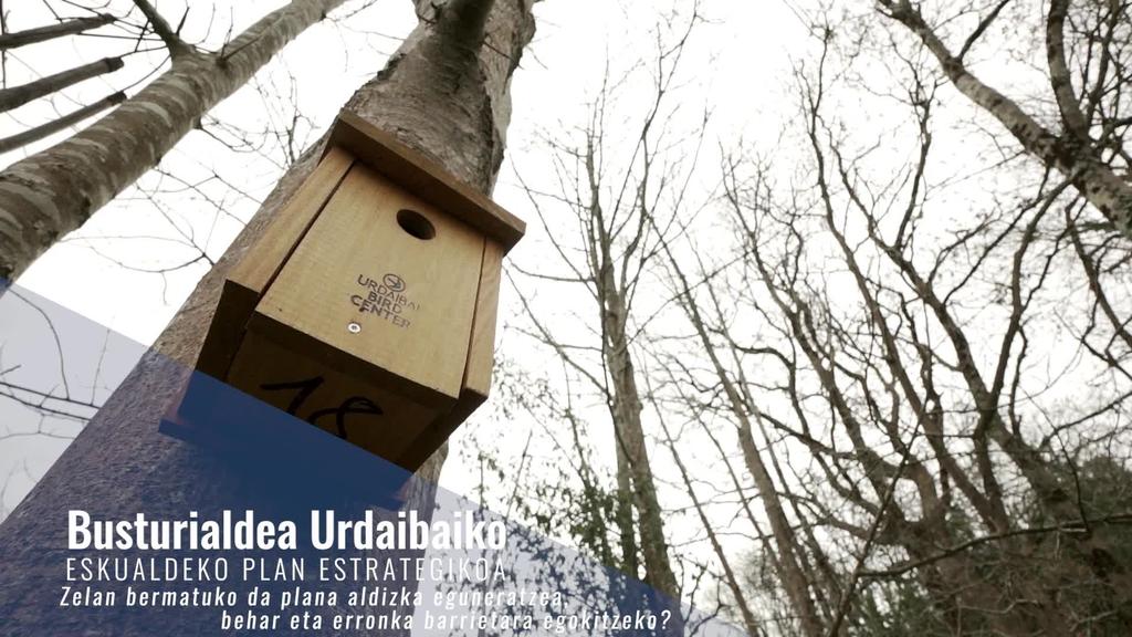 Busturialdea Urdaibaiko Eskualdeko Plan Estrategikoa: Zelan bermatuko da plana aldizka eguneratzea, behar eta erronka barrietara egokitzeko