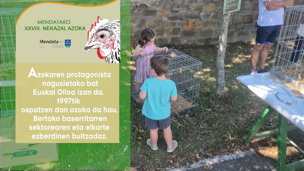 MENDATAKO XXVII. NEKAZAL AZOKA