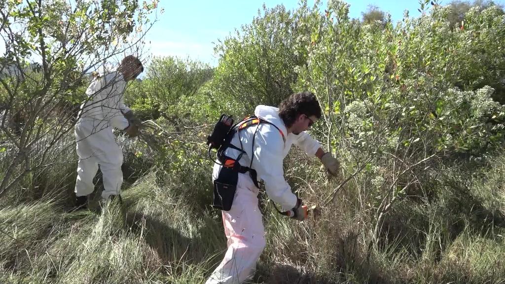Espezie inbaditzaileei aurre egiteko programa integrala