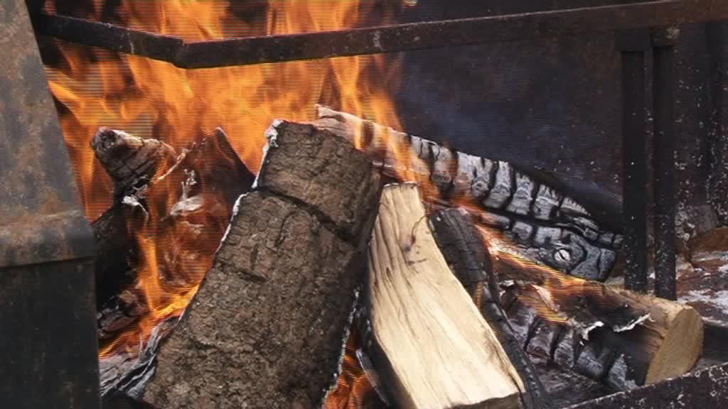MENDATAKO TXITXIBURDUNTZI EGUNA 2019