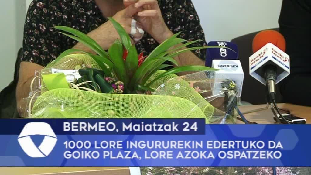 1.000 lore ingururekin edertuko da Bermeoko Goiko Plaza lore azoka berezia ospatzeko