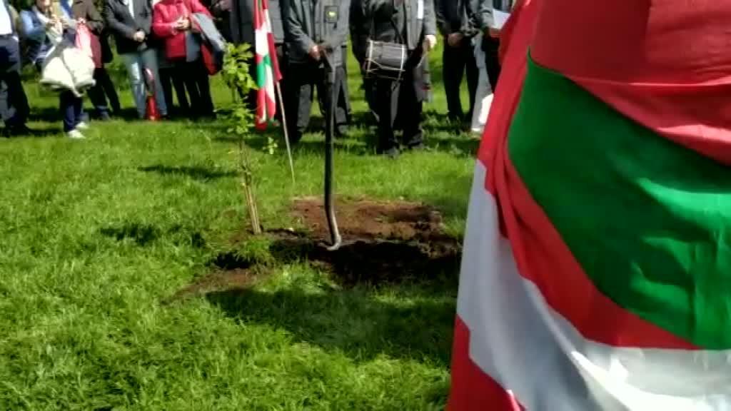GERNIKAKO ARBOLAREN KIMUA LANDATU DUTE GOTEMBURGEN