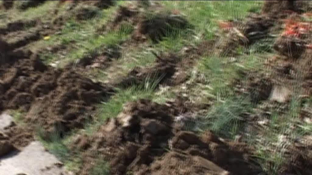 LANDARE INBADITZAILEAK KONTROLATZEN ARI DA GERNIKA-LUMOKO UDALA