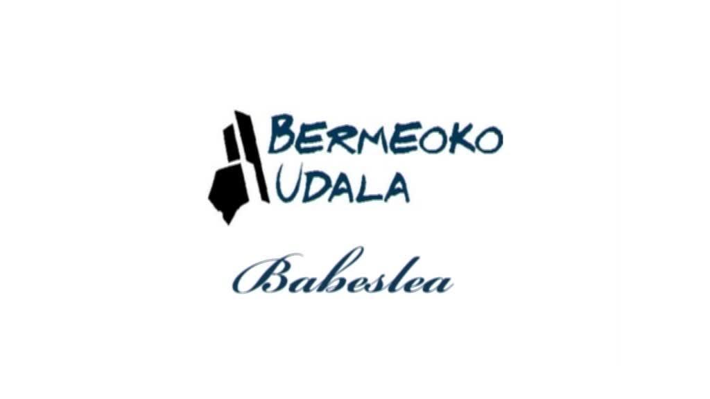 Koronabirusaren egoerari buruzko informazioa Aritz Abaroa, Bermeoko alkatearen eskutik