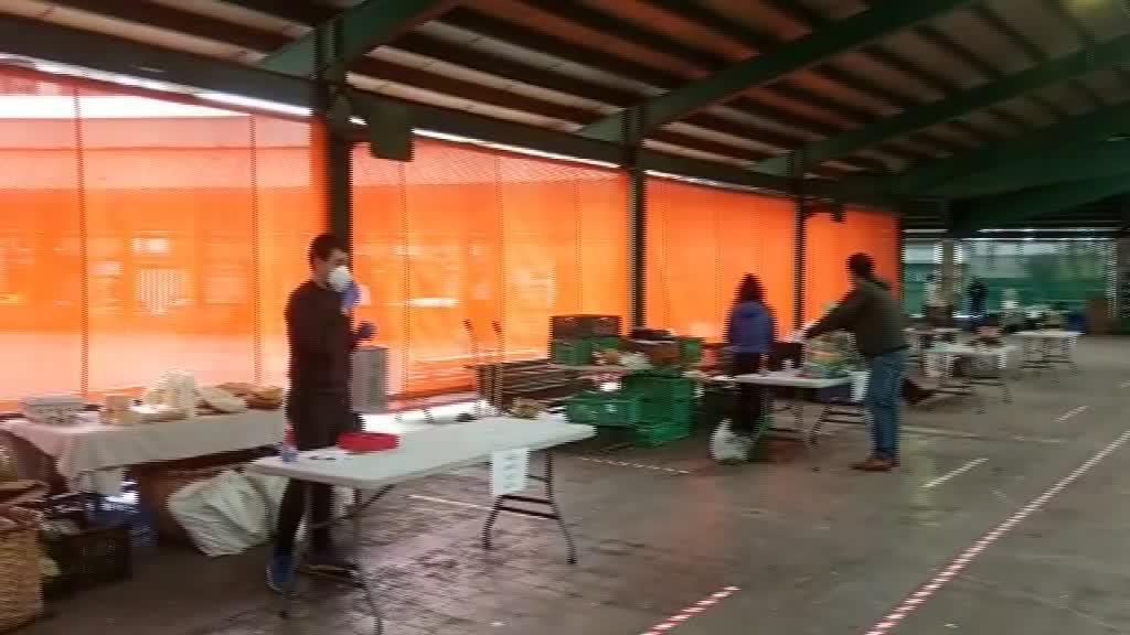 NEURRI ZEHATZ ETA GOGORREKIN IZAN DA AZOKA MERKATU PLAZAN