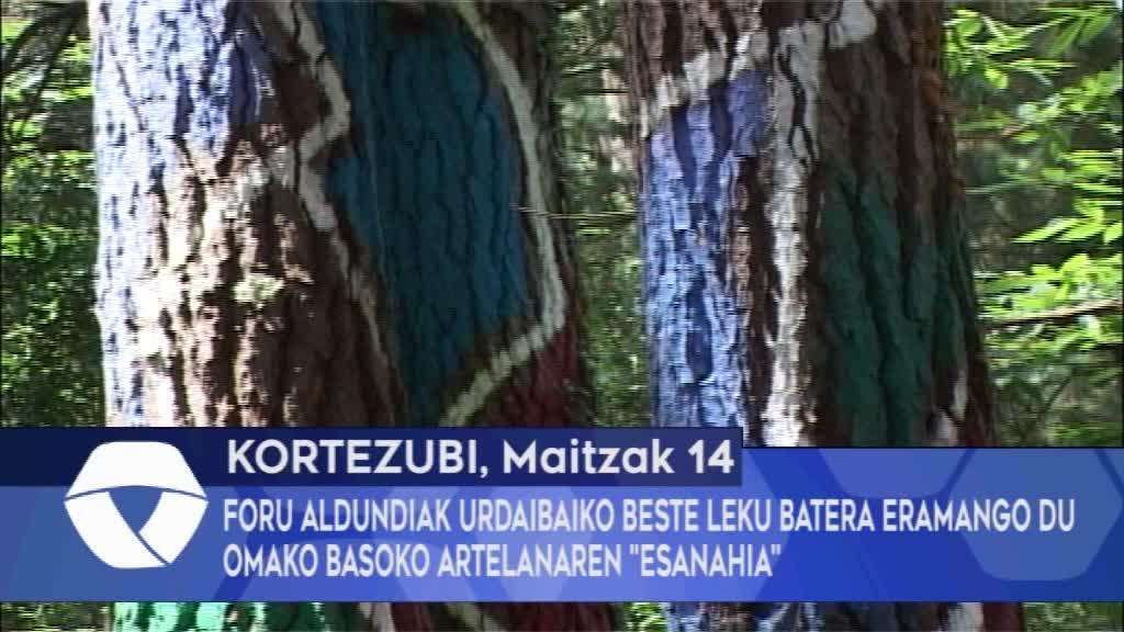 Foru Aldundiak Urdaibaiko beste leku batera eramango du Omako basoko artelanaren “esanahia”