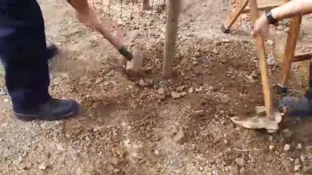 BERMEOKO HERRI BABESAK GEREZIONDOA LANDATU ETA ANDER OLEAGA ZORIONDU DU