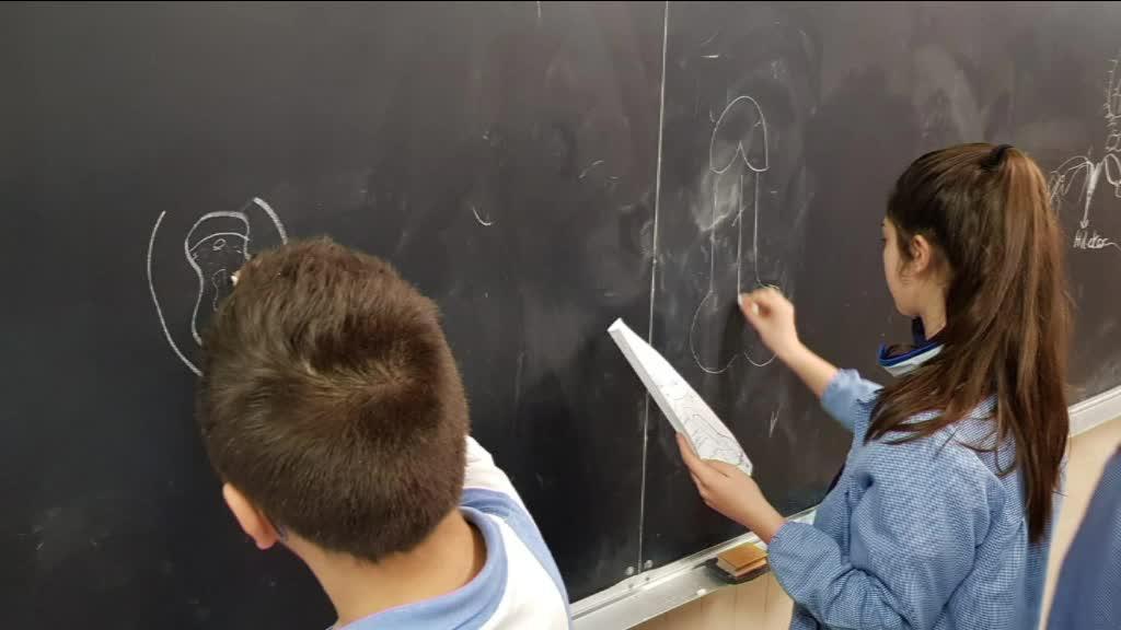 BERMESEX ZERBITZUAK HEZIKETA AFEKTIBOA LANDU DU ETA LANDUKO DU IKASTETXEETAN