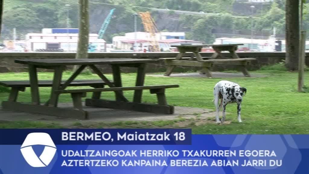 Bermeoko Udaltzaingoak herriko txakurren egoera aztertzeko kanpaina berezia abian jarri du
