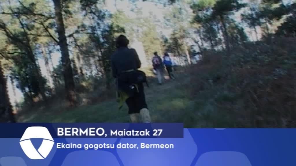 Ekaina gogotsu dator, Bermeon