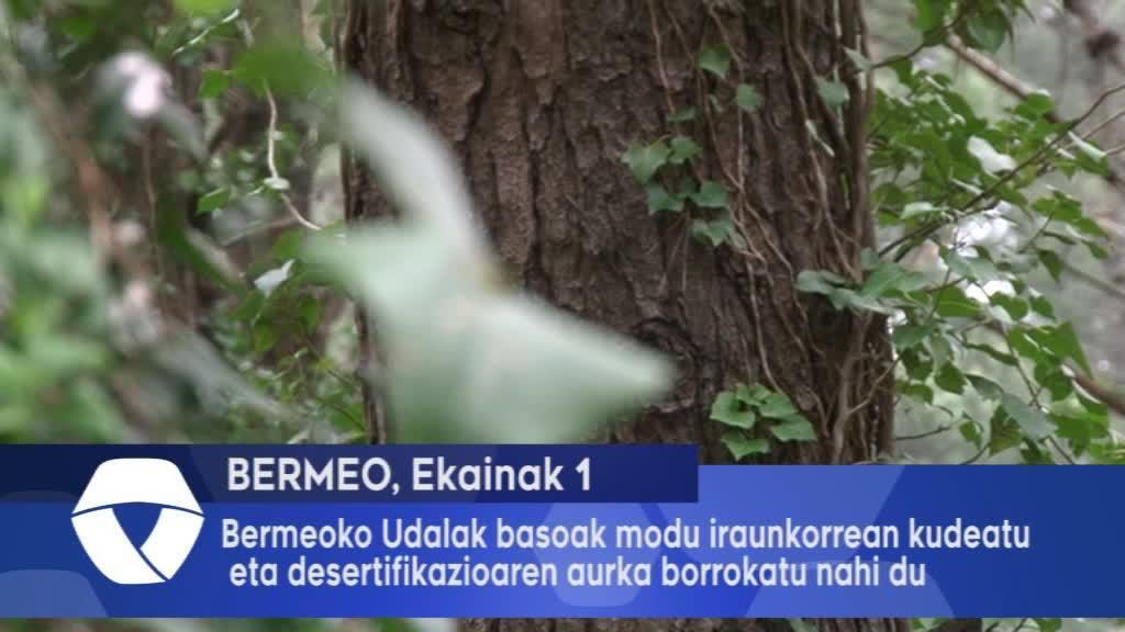 Bermeoko Udalak basoak modu iraunkorrean kudeatu eta desertifikazioaren aurka borrokatu nahi du