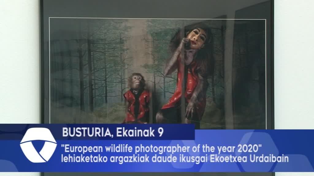 -European Wildlife Photographer of the Year 2020- lehiaketako argazkiak daude ikusgai Ekoetxea Urdaibain