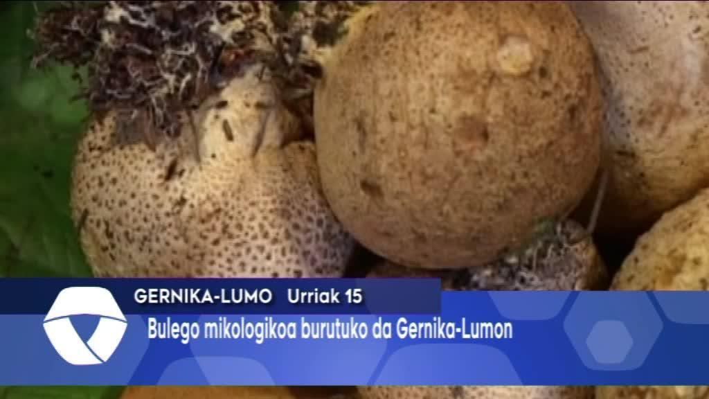 Maria Agirre aretoa bulego mikologiko bilakatuko da