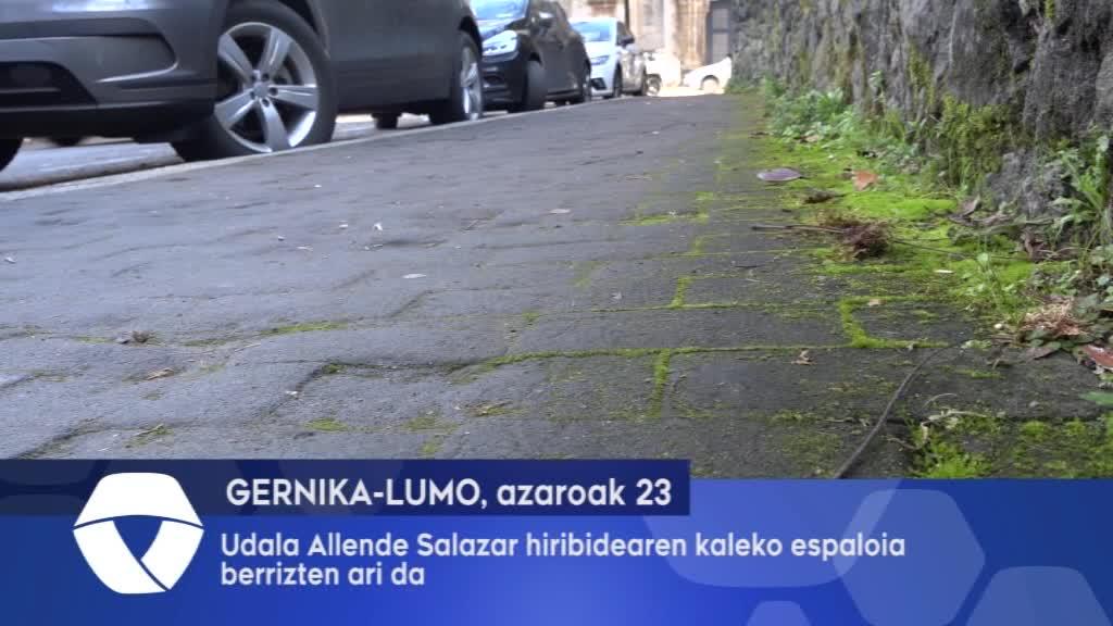 Udala Allende Salazar hiribidearen kaleko espaloia berrizten ari da