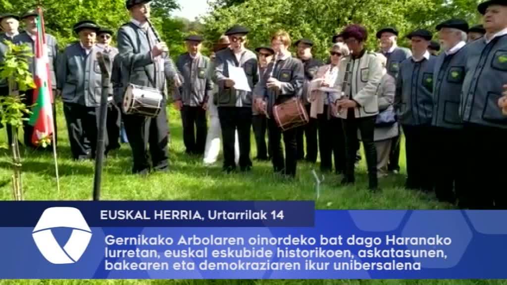 Gernikako Arbolaren oinordeko bat dago Haranako lurretan, euskal eskubide historikoen, askatasunen, bakearen eta demokraziaren ikur unibersalena