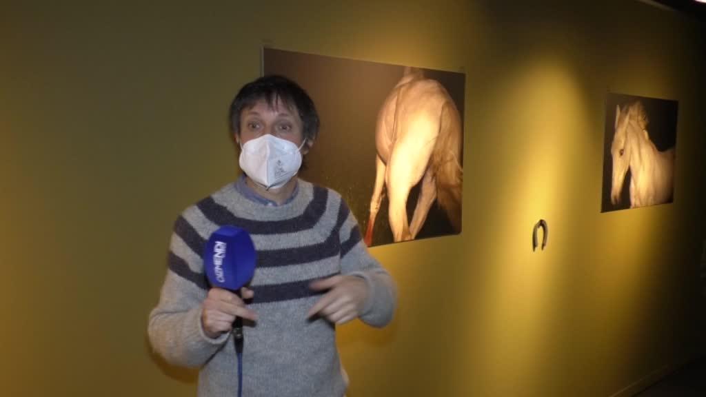 Desegindako Oroitzapenaren Aurrean, Memoria eta Gerra Zibila erakusketa, Bakearen Museoan