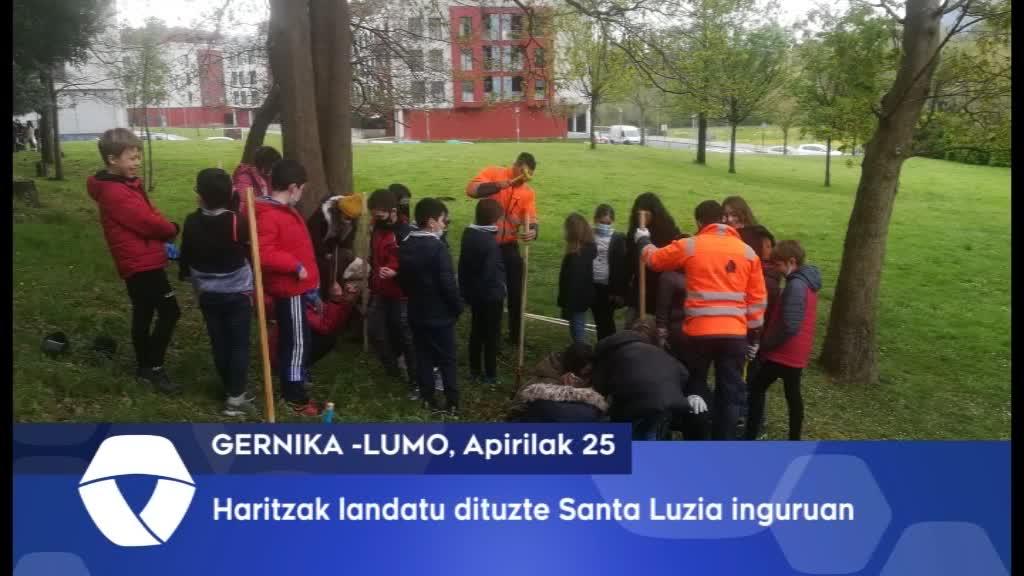 Ikasle batzuk haritzak landatu dituzte, Santa Luzia inguruan