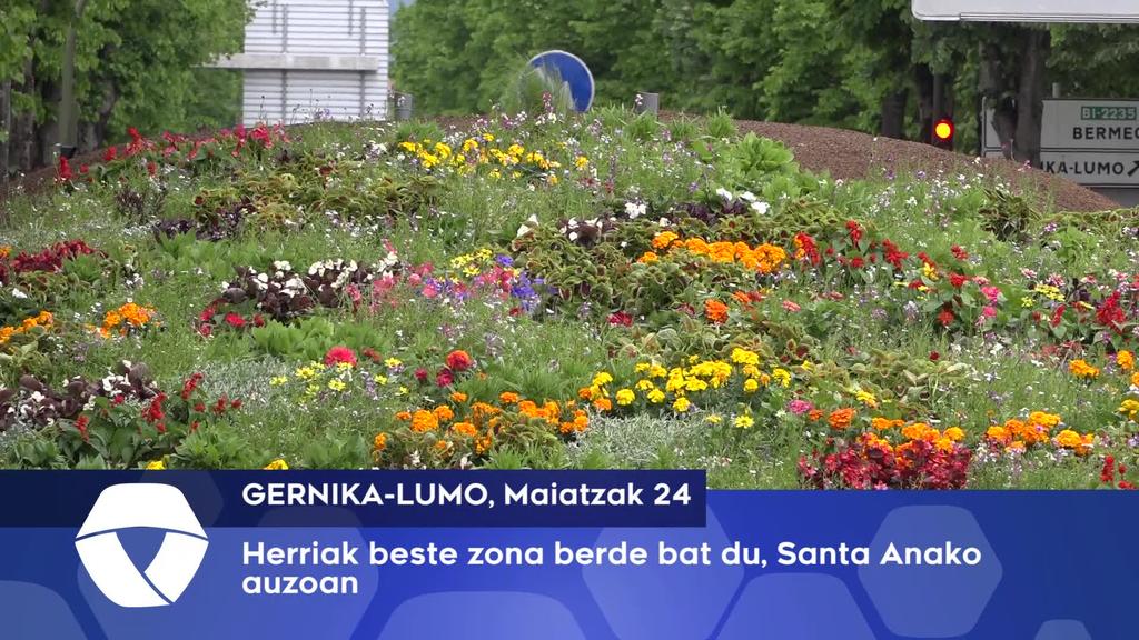 Herriak beste zona berde bat du, Santa Anako Auzoan