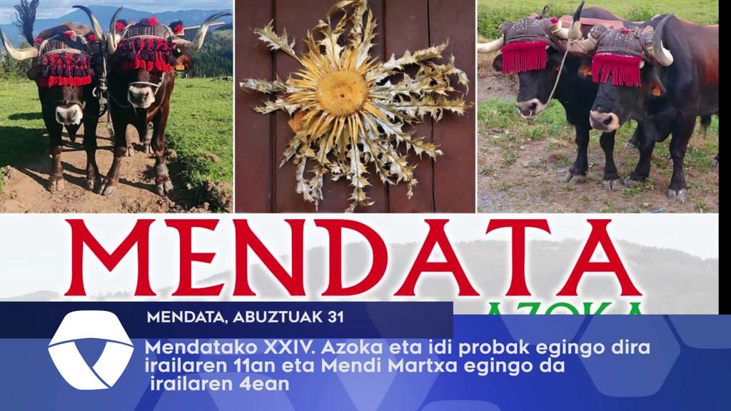 Mendatako XXIV. Azoka eta idi probak egingo dira irailaren 11an eta Mendi Martxa egingo da irailaren 4ean