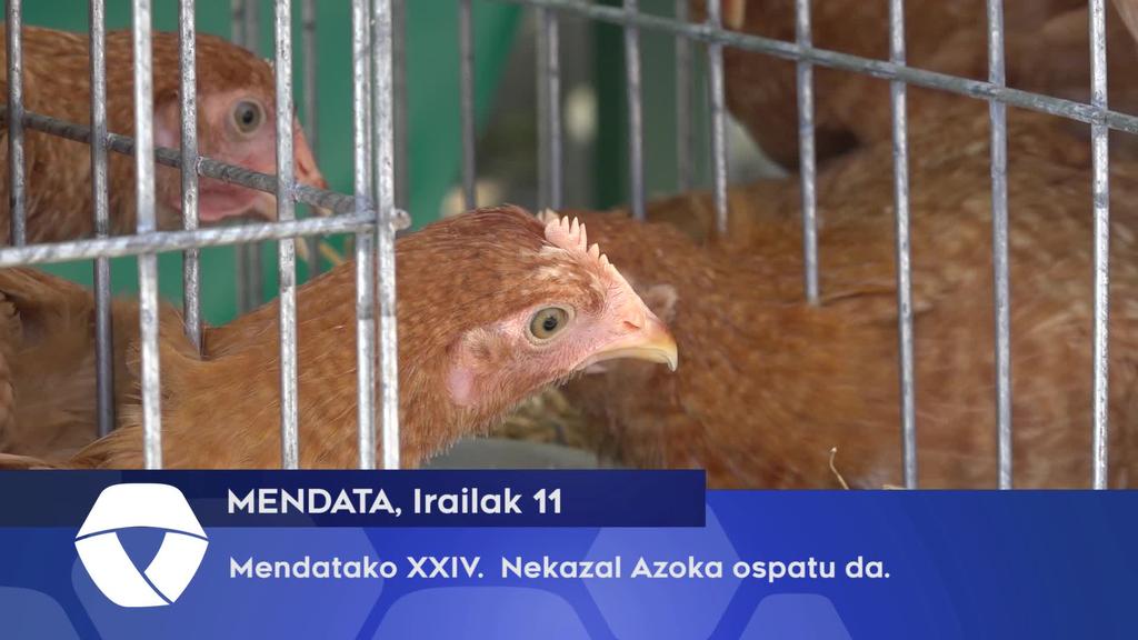 XXIV Nekazal Azoka ospatu da, Mendatan