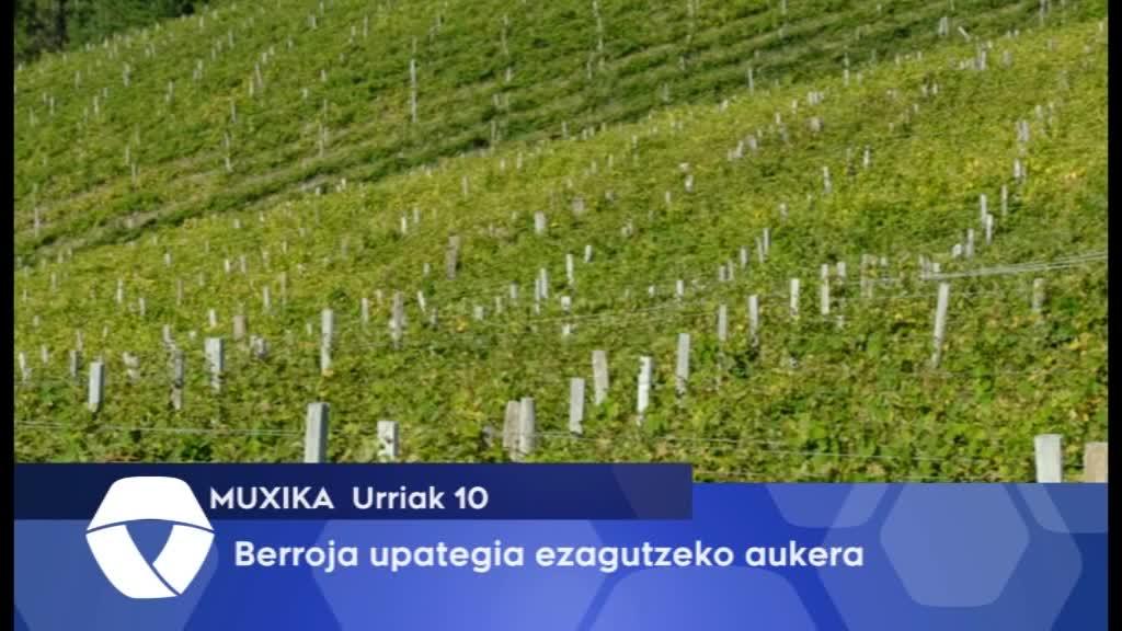 Berroja upategia ezagutzeko aukera izango da urriaren 22an