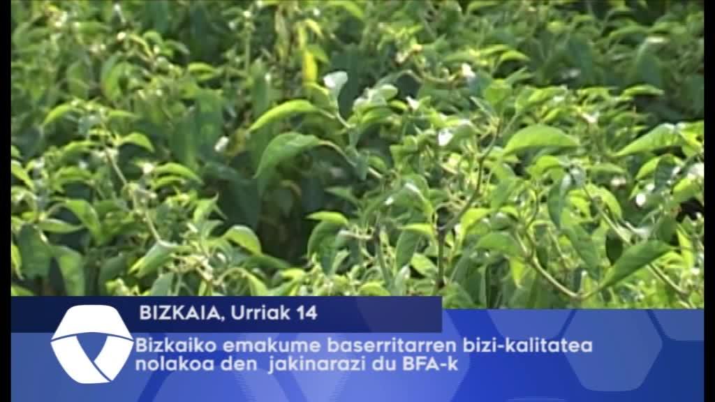 Bizkaiako emakume baserritarren bizi-kalitatea nolakoa den jakinarazi du BFA-k