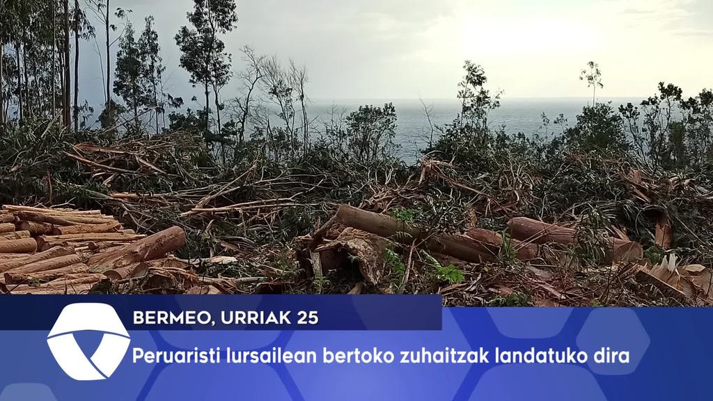 Peruaristi lursailean bertoko zuhaitzak landatuko dira