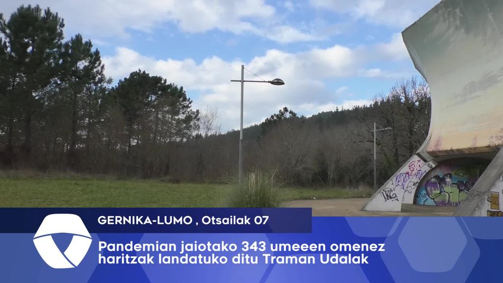 Pandemian jaiotako 343 umeen omenez haritzak landatuko dira Traman