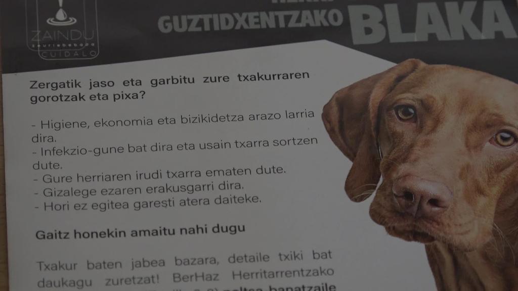 Bermeoko Udalak txakurren pixa eta gorotzen inguruko kontzientzio kanpaina aurkeztu du