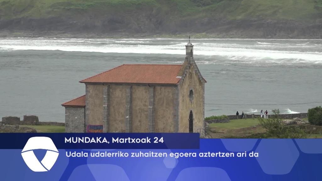 Udala udalerriko zuhaitzen egoera aztertzen ari da