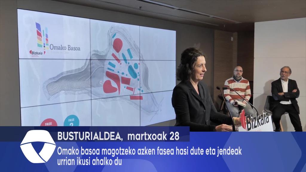 Omako basoa magotzeko azken fasea hasi dute eta jendeak urrian ikusi ahalko du