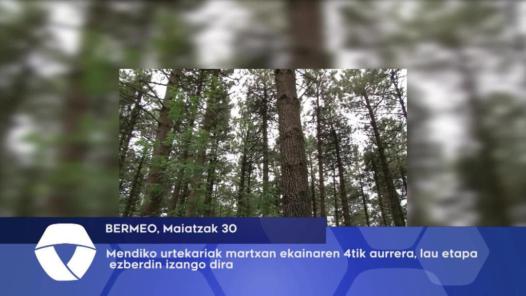 Mendiko urtekariak martxan ekainaren 4tik aurrera, lau etapa ezberdin izango dira