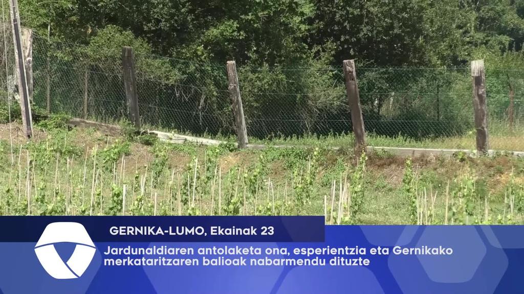 Jardunaldiaren antolaketa ona, esperientzia eta Gernikako merkataritzaren balioak nabarmendu dituzte